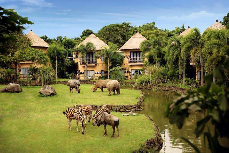 巴里島野生動物園飯店度假村Mara River Safari Lodge