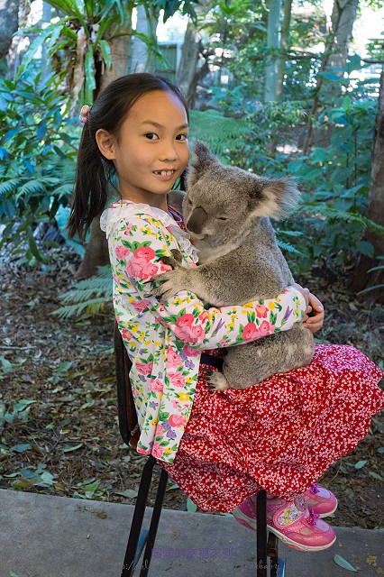 澳洲-Lone Pine Koala Sanctuary(龍柏動物園)