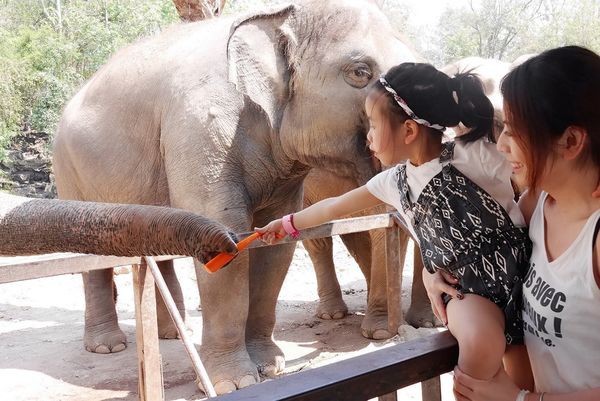 泰國-芭達雅-綠山動物園Khao Kheow Open Zoo