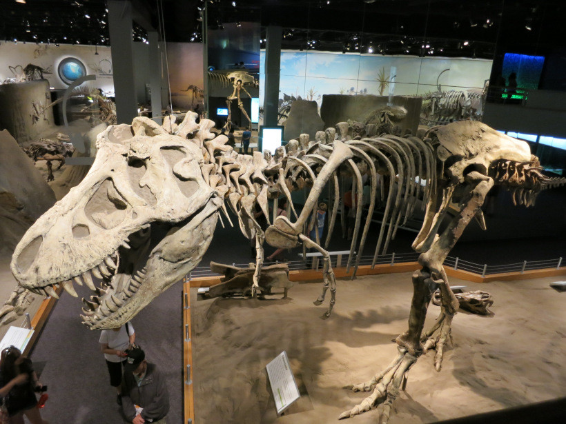 加拿大-亞博達-恐龍博物館 (Royal Tyrrell Museum)