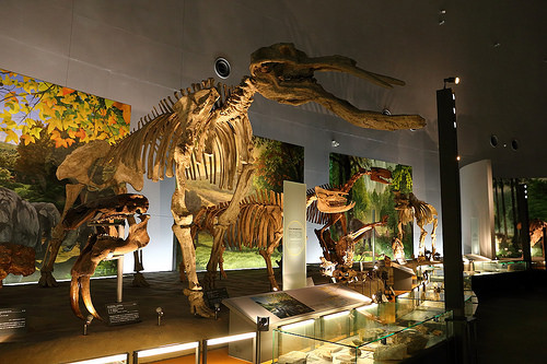 日本-福井-縣立恐龍博物館