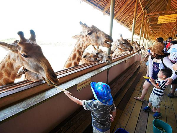 Safari World Bangkok泰國曼谷野生動物園