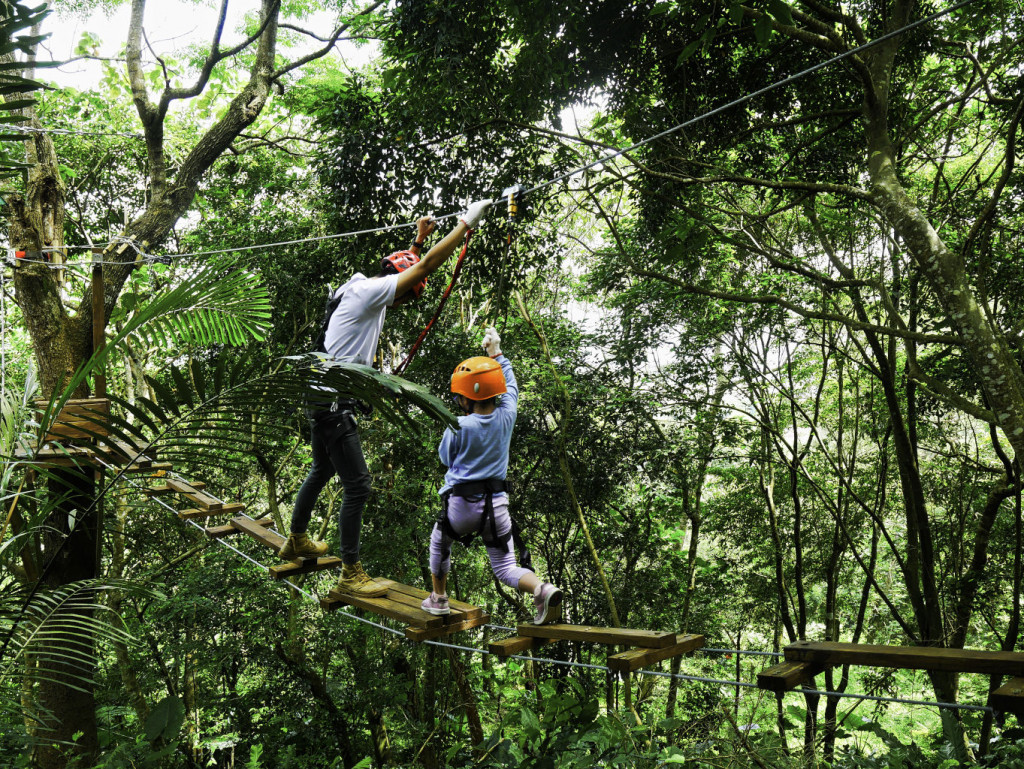 樹冠層探險@酋長部落-野猴子探險森林(高低空探索)