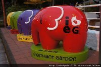 象園咖啡Elephant Garden(內湖店)