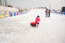 韓國-首爾-纛島雪橇場
