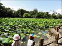 台北植物園