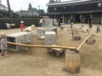 日本仙台-八木山動物園