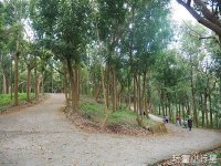 川文山生態保育農場(小陽明山)